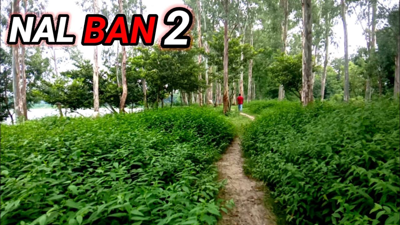 Nalban bike tour /one day picnic near Kolkata /Nalban 2 Bantala