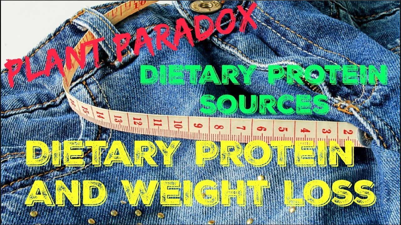 Plant Paradox - Dietary Protein And Weight Loss - Dietary Protein Sources