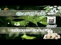 سورة الأعلى من روائع الشيخ الشحات محمد أنور