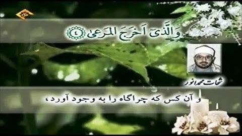 سورة الأعلى من روائع الشيخ الشحات محمد أنور