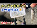 スーパーに売っていた極小アジで爆釣の予感…！？