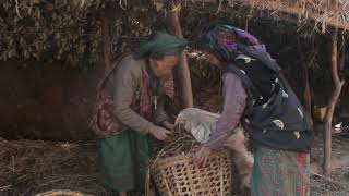Traditional village life || Primitive technology