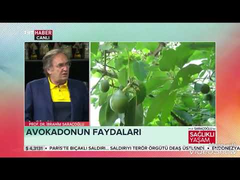 AVOKADONUN MÜTHİŞ FAYDALARI ~ Şifaya Vesile Saraçoğlu