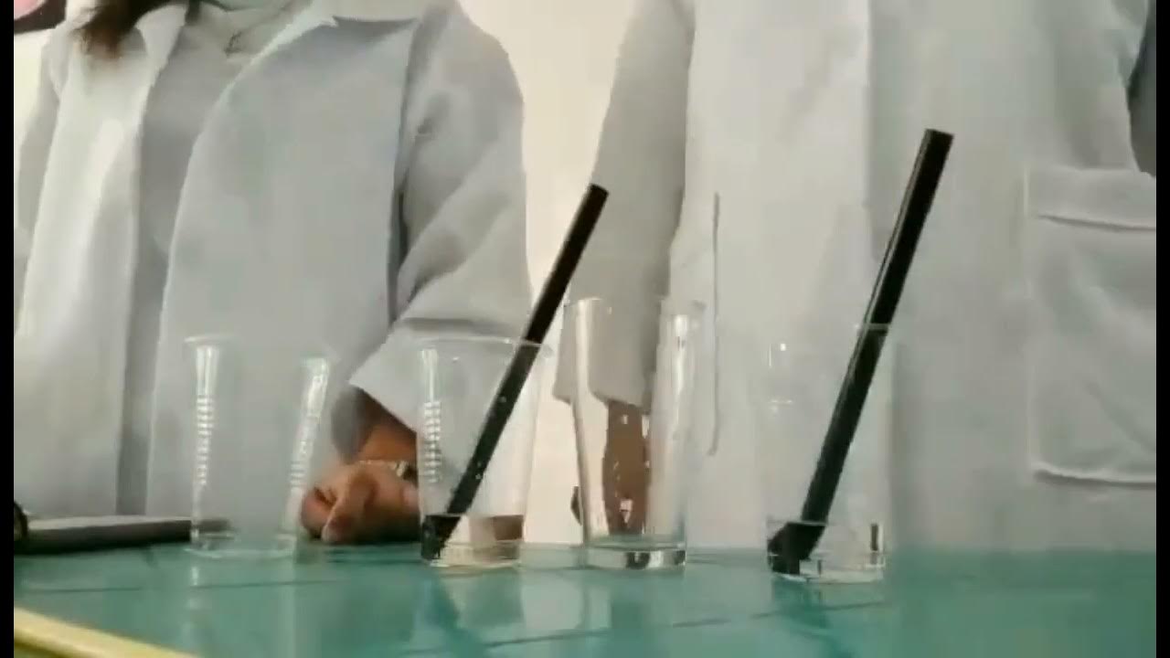 Laboratory Experiment Straw Equilibrium YouTube