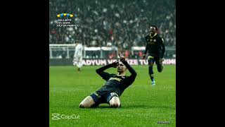 Kanım Sarı Larcivert Resimi