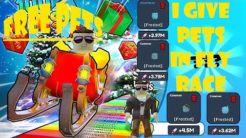 I gave pets all to the server in Fly Race Codes