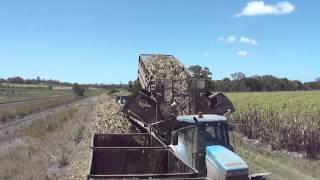Sugar cane harvest, trailer unloading @ Sarina Qld