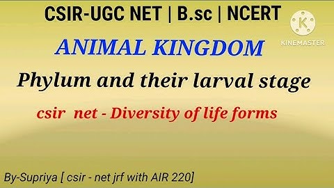 Animal kingdom larval forms | larvae of different phylum |  csir ugc net life sciences | B.sc |