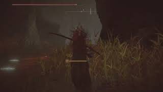 How to parry and kill Abyssal Woods untouchable winter lanterns - Shadow of the Erdtree