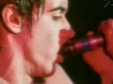 Iggy Pop   The Passenger Live Manchester Apollo 1977