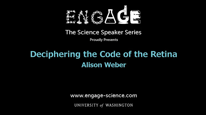 Deciphering the Code of the Retina by Alison Weber