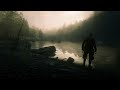 #rdr2  2 Атмосфера завораживает   1