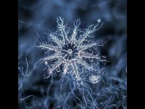 \"სულში   გამითოვდა\"    მაია სიჭინავა /Author songs maia sitchinava