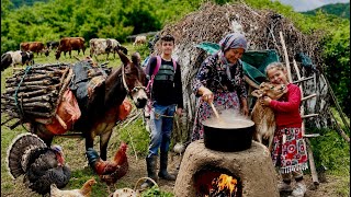 A Remarkable Journey to the Forest | Bringing Firewood by Mule & Cooking Beans Over Fire