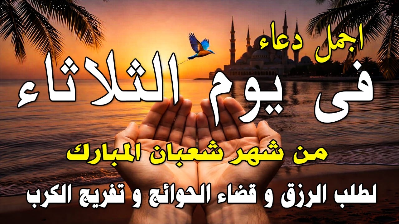 دعاء فى يوم الثلاثاء المستجاب دعاء في يوم 22 من شهر شعبان للرزق والشفاء العاجل وقضاء الحوائج 🤲(4k)