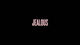 Beyoncé - Jealous (feat. Chris Brown) [JNDoe Cover Remix]