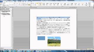 Officeのクリップボードを活用する