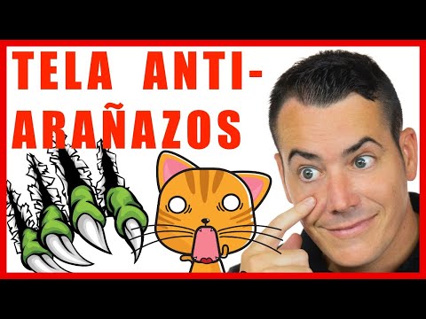 ¿Tienes Mascotas🐶🐈? TELA