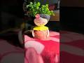 Day12 coconut shell room decor idea #coconutshellcrafts #craftideas #shorts #youtubeshort