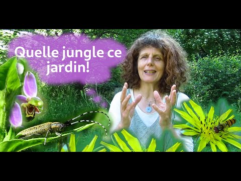 Video: Jardín Fragante Perenne