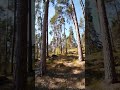 І все це він #actions #music #nature