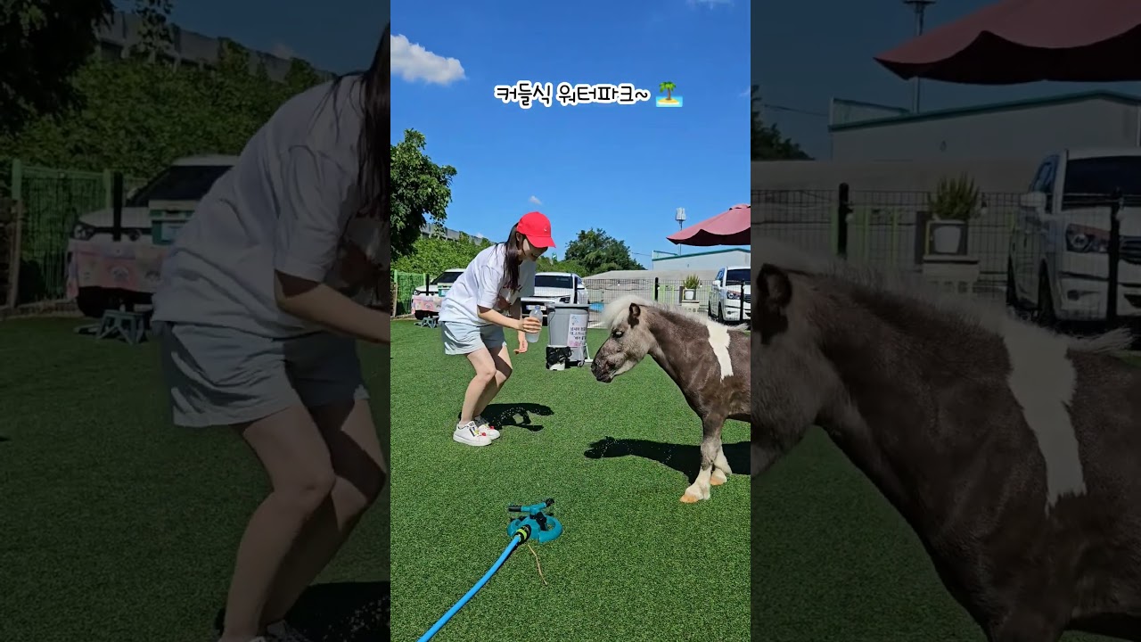 물놀이 너무 쪼아~!🌞🌊This is heaven~🦄🏖