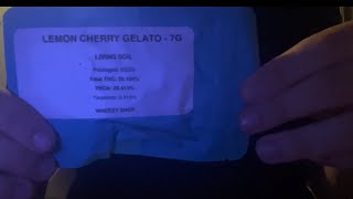 Wheezy Shop Care Package Unboxing + Lemon Cherry Gelato Smalls Review 🍋 🍒 🍨 