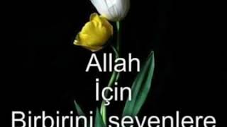 Talip Başardan Hz Mevlana Ve Şems I Tebrizi 