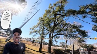 The scariest removal I ever did❗️❗️(leaning oak tree 🪵removal next to power line 💥)