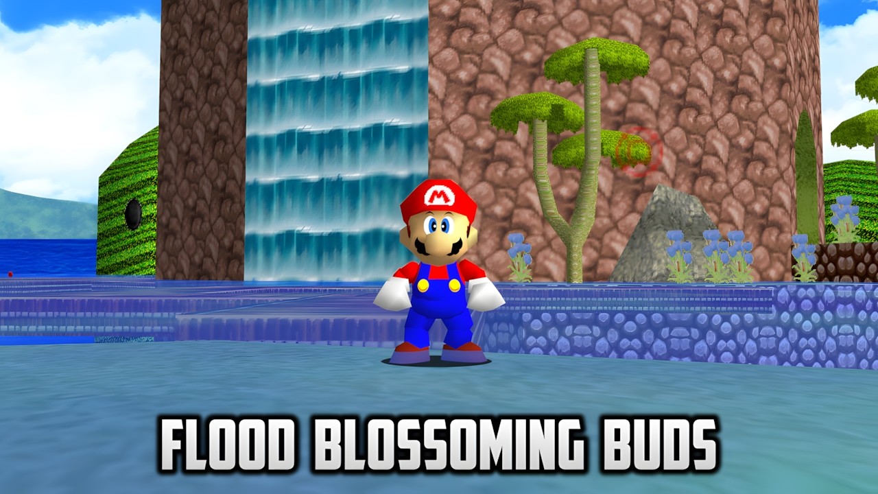 ⭐ Super Mario 64 Coop DX - Flood Blossoming Buds