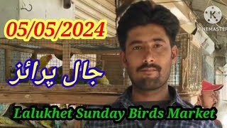 Every Sunday New Update #LalokhetBirdaMarket Birds Market Jaal Price 5\/5\/2024  Latest Video