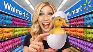 Hatching Grocery Store Eggs As Pets | Brianna