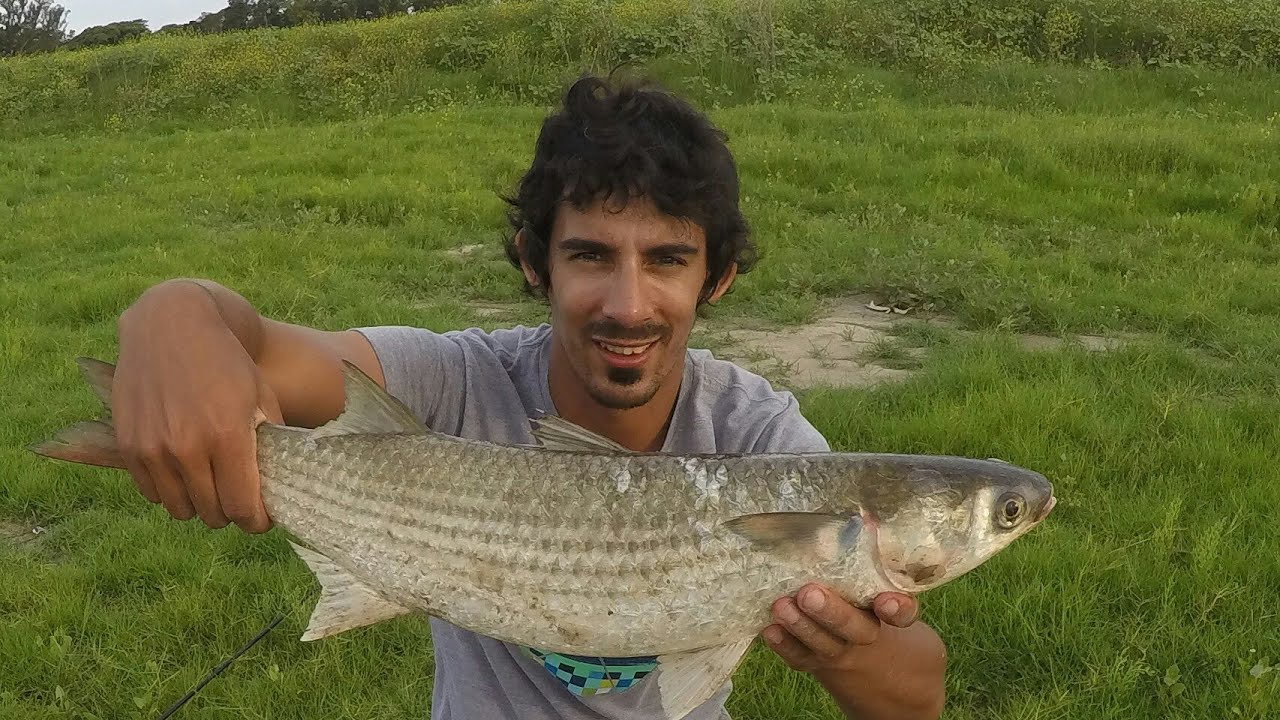 PESCA DE LISAS EN EL RIO SALADO 2018 camera iphone 8 plus apk