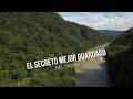 El secreto mejor guardado del Cauca - TvAgro por Juan Gonzalo Angel