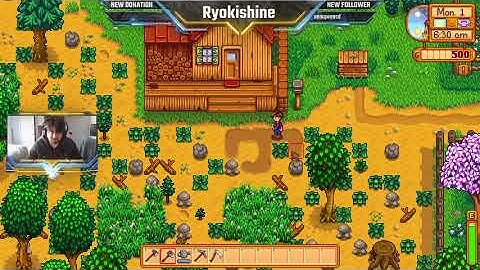 Stardew Valley PC In-Game Settings Recommendations