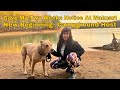 Vanlife solo female 50  walmart gave my two weeks notice  new beginning campground host  ep 81