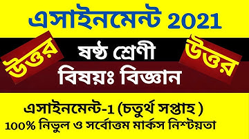 Class 6 Science Assignment Answer 4th week