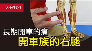 鬼手武醫【 開車族的右腿】如何放鬆過度使用的肌群