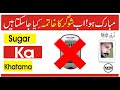 How to reverse diabetes in 2 weeks only with diet  low carb lifestyle  ali hashmi urduhindi