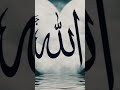 pengikut jalan Allah