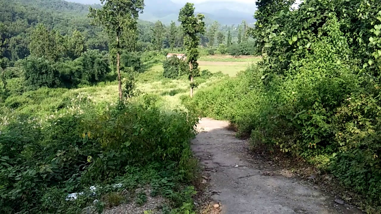 Resort and farm house Land for sale MDR road Dehradun via chharba