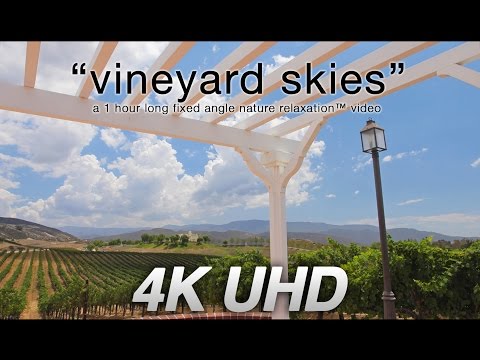 "Vineyard Skies" 4K UHD 1 HR Winery Nature Relaxation™ Video - Real Time