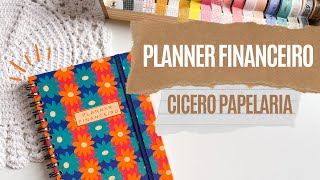 Planner Financeiro Cicero Papelaria Pra quem nao gosta de Planilhas