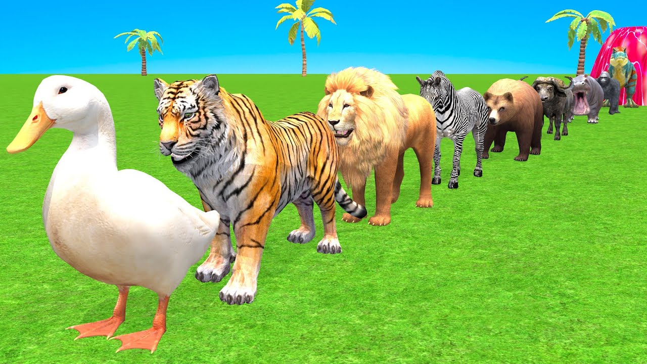 Long Slide Game With Cow Elephant Gorilla Hippopotamus Tiger 3d Animal Game Funny 3d Animals
