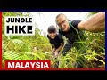 ALONE IN FOGGY JUNGLE (Wow!) 🇲🇾