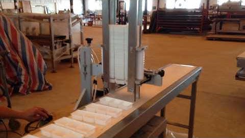 Tray Denester  machine-Biscuit /wafer/cookie/sandwiching Production Line -APEX MACHINERY