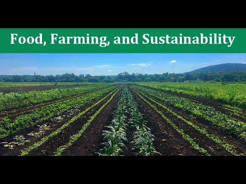 Unlocking The Mysteries Of Food Systems: Withgott Readings PDF Analysis