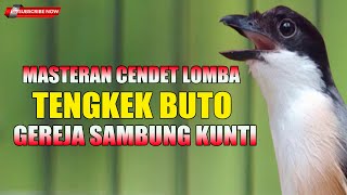 Download Lagu MASTERAN CENDET LOMBA SPESIAL TENGKEK BUTO COCOK UNTUK CENDET BAHAN CALON JUARA DUNIA MP3 Download Lagu MASTERAN CENDET LOMBA SPESIAL TENGKEK BUTO COCOK UNTUK CENDET BAHAN CALON JUARA DUNIA MP3