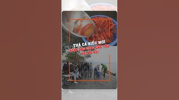 Thả cá kiểu mới ngày ông Công ông Táo tại Hà Nội