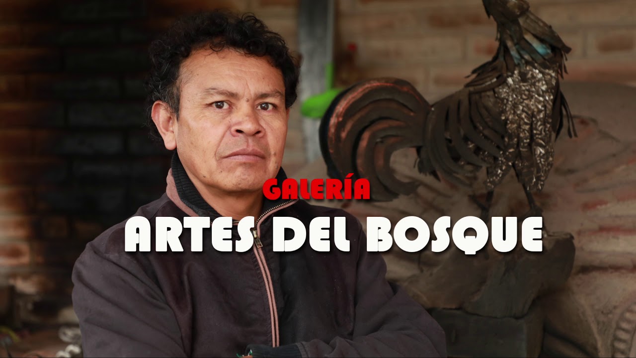 tv kanalları GALERIA ARTES DEL BOSQUE - COTACACHI, ECUADOR